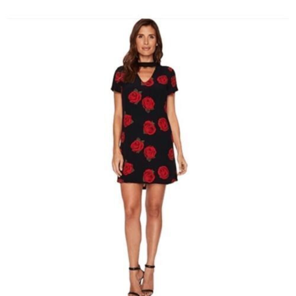 SANCTUARY‎ dress Paris Rose floral short sleeve lined small gothcore fairy NEW
